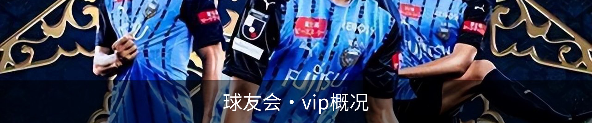 球友会·vip概况